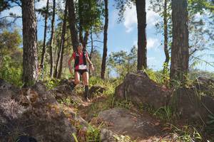 BIB: 
                            <button type="button" onclick="openModal(18940392)" class="btn btn-primary btn-sm float-right btn-popup" data-toggle="modal" data-target=".modal-high-quality">
                        <i class="fas fa-shopping-cart"></i> Add to Cart
                    </button>
                                            <button type="button" onclick="isThisMe(18940392, true)" class="btn btn-success btn-sm float-right btn-popup btn-isme hidden" data-toggle="tooltip" data-placement="bottom" title="นี่คือรูปของคุณใช่ไหม คลิกที่นี่เพื่อเอาเข้าอัลบั้ม">
                        <i class="fas fa-plus"></i> Add to album
                    </button>
                    <button type="button" onclick="isThisMe(18940392, false)" class="btn btn-warning btn-sm float-right btn-popup btn-isnotme hidden">
                        <i class="fas fa-ban"></i> Remove from album
                    </button>